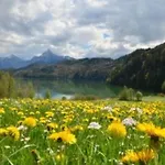 Hefele Hopfensee Mit Koenigscard Apartman Hopferau