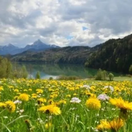 Hefele Hopfensee Mit Koenigscard Apartamento Hopferau
